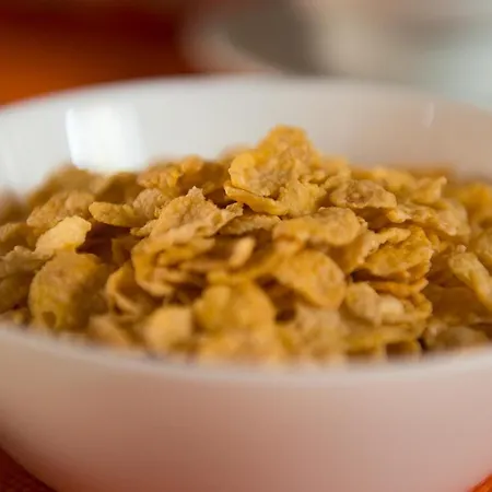 ホステル La Terrera Youth