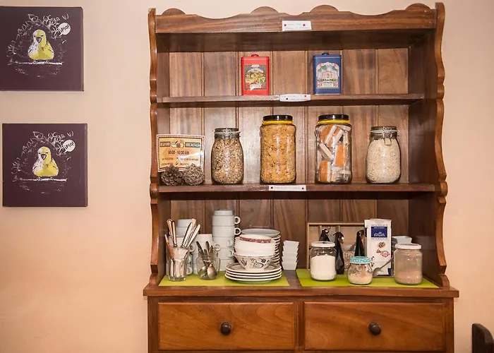 La Terrera Youth 라 라구나