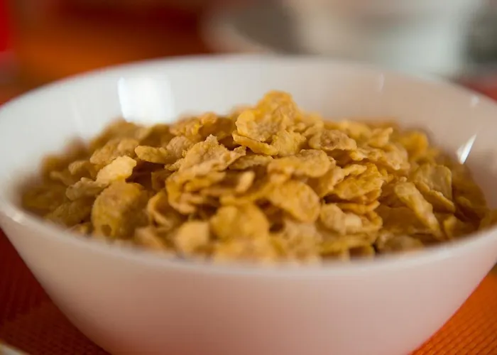 Vandrarhem La Terrera Youth