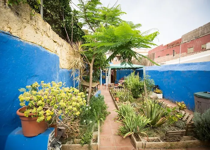 La Terrera Youth サン・クリストバル・デ・ラ・ラグーナ